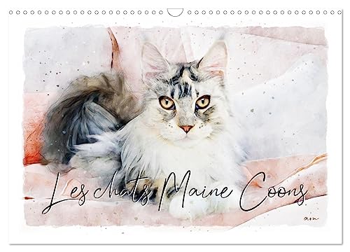Les chats Maine Coons (Calendrier mural 2024 DIN A3 vertical), CALVENDO calendrier mensuel: Série de 12 tableaux de chats Maine Coons.
