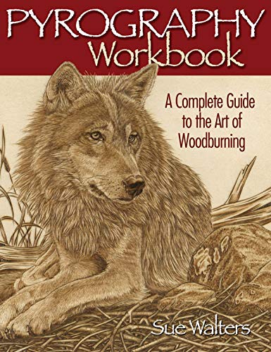 Pyrography Workbook: A Complete Guide to the Art of Woodburning von Fox Chapel Publishing