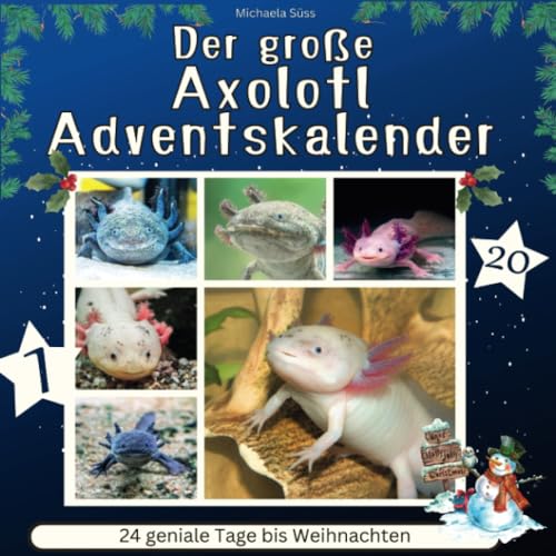 Der grosse Axolotl-Adventskalender: 24 geniale Tage bis Weihnachten