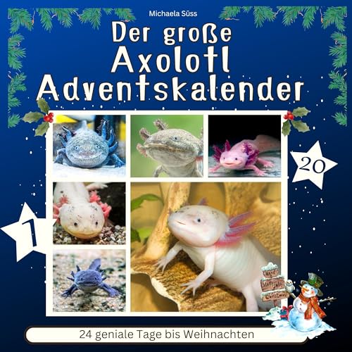 Der grosse Axolotl-Adventskalender: 24 geniale Tage bis Weihnachten Der grosse Axolotl-Adventskalender: 24 geniale Tage bis Weihnachten von 27 Amigos
