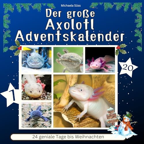 Der grosse Axolotl-Adventskalender: 24 geniale Tage bis Weihnachten von 27 Amigos