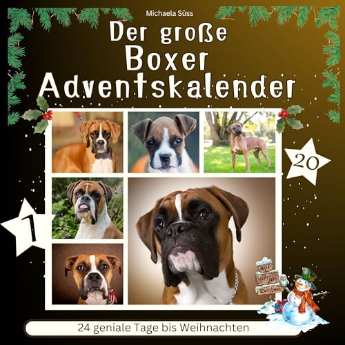 Der grosse Boxer-Adventskalender: 24 geniale Tage bis Weihnachten von 27 Amigos