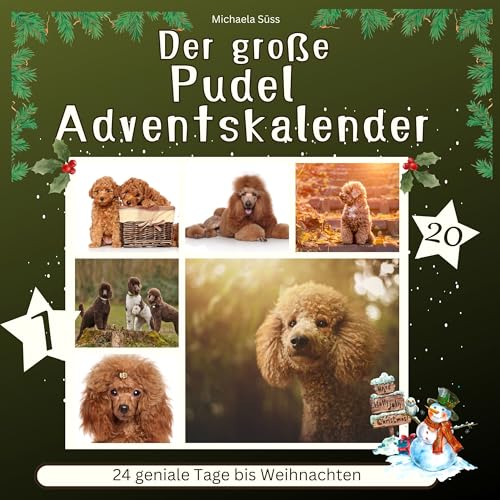 Der grosse Pudel-Adventskalender: 24 geniale Tage bis Weihnachten von 27 Amigos