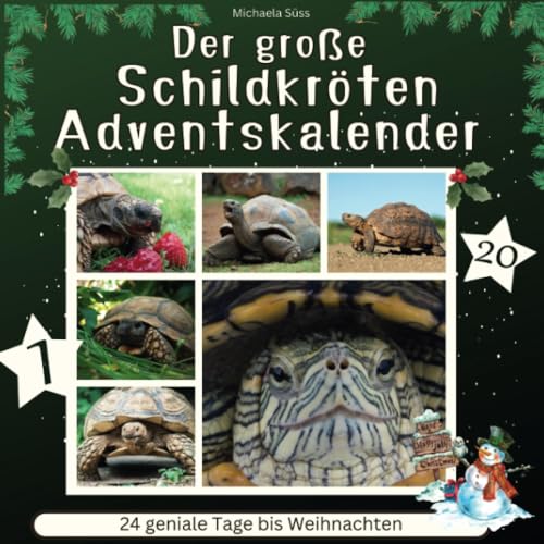Der große Schildkröten-Adventskalender: 24 geniale Tage bis Weihnachten von 27 Amigos