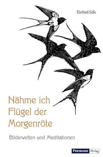 Nähme ich Flügel der Morgenröte: Bilderwelten und Meditationen