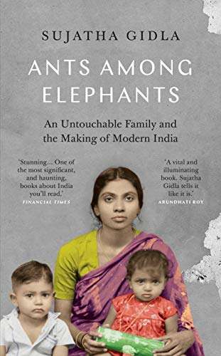 Ants Among Elephants: An Untouchable Family and the Making of Modern India von Daunt Books