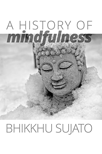 A History of Mindfulness von Santipada