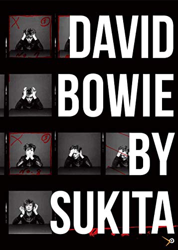David Bowie. Ediz. illustrata von Lullabit
