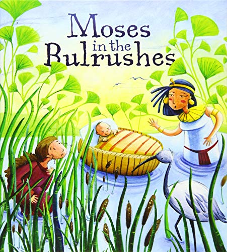 Moses in the Bulrushes (My First Bible Story Series) von Authentic Media