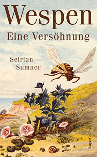 Wespen. Eine Versöhnung: Longlist »Bestes Wissenschaftsbuch des Jahres« 2024 | Platz 10 der WELT-Sachbuchbestenliste Oktober | Wer Bienen mag, wird Wespen lieben | Geheime Wunder der Evolution