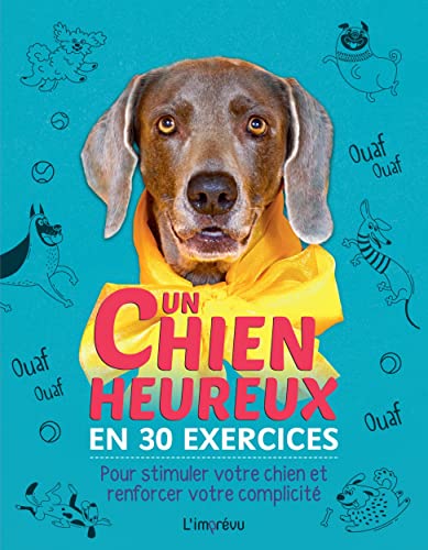Un chien heureux en 30 exercices: Pour stimuler votre chien et renforcer votre complicité Un chien heureux en 30 exercices: Pour stimuler votre chien et renforcer votre complicité von L IMPREVU