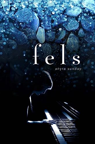 fels von CREATESPACE