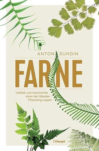 Farne: Vielfalt und Geschichte einer der ältesten Pflanzengruppen