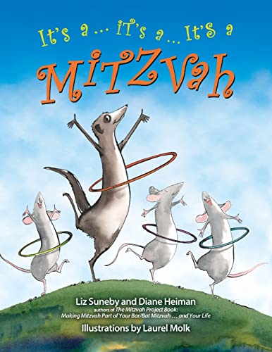It's a ... It's a ... It's a Mitzvah von Jewish Lights Publishing