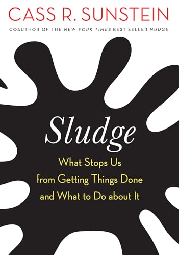 Sludge: What Stops Us from Getting Things Done and What to Do about It von MIT Press