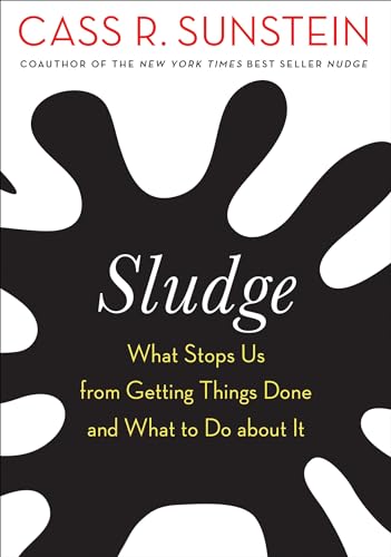 Sludge: What Stops Us from Getting Things Done and What to Do about It von The MIT Press