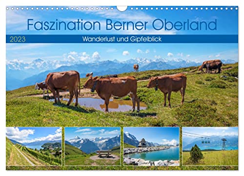 Faszination Berner Oberland 2024 - Wanderlust und Gipfelblick (Wandkalender 2024 DIN A3 quer), CALVENDO Monatskalender von CALVENDO