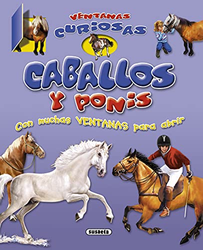 Caballos y ponis (Ventanas curiosas)