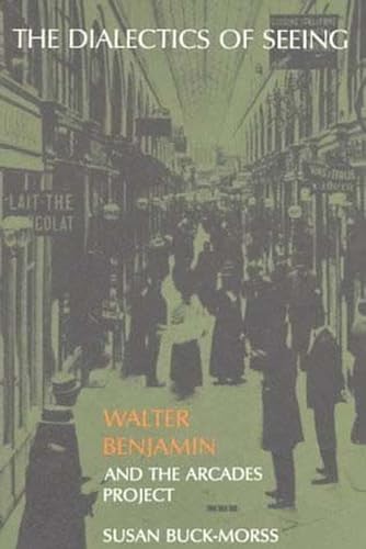 The Dialectics of Seeing: Walter Benjamin and the Arcades Project (Studies in Contemporary German Social Thought)