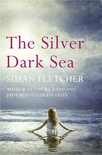 The Silver Dark Sea