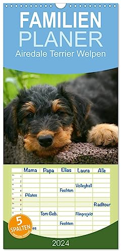 Familienplaner 2024 - Airedale Terrier Welpen mit 5 Spalten (Wandkalender, 21 cm x 45 cm) CALVENDO