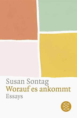 Worauf es ankommt: Essays