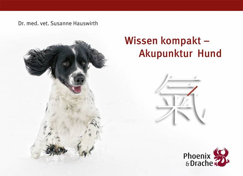 Wissen kompakt - Akupunktur Hund von Verlag Phoenix & Drache