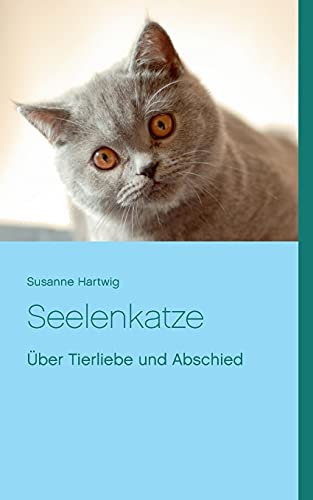 Seelenkatze: Über Tierliebe und Abschied