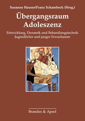 Übergangsraum Adoleszenz: Entwicklung, Dynamik und Behandlungstechnik Jugendlicher und junger Erwachsener