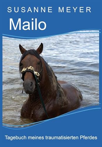 Mailo: Tagebuch meines traumatisierten Pferdes