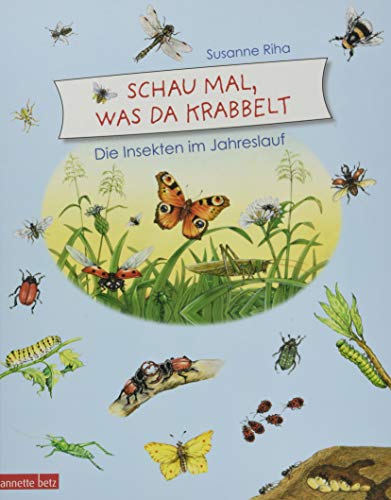 Schau mal, was da krabbelt: Die Insekten im Jahreslauf