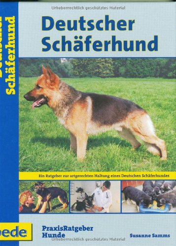 Deutscher Schäferhund, Praxisratgeber