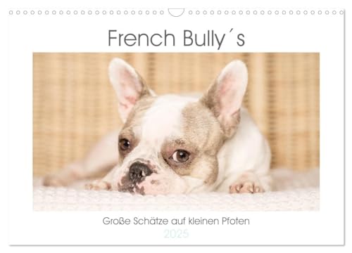 French Bully´s - Große Schätze auf kleinen Pfoten (Wandkalender 2025 DIN A3 quer), CALVENDO Monatskalender von CALVENDO