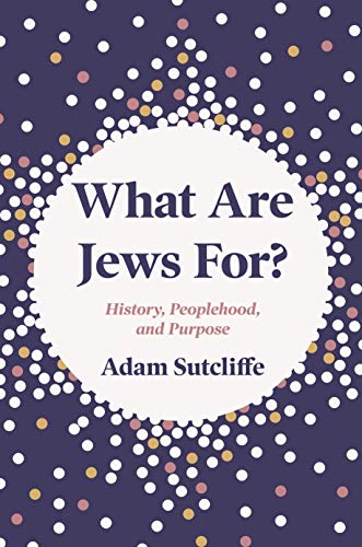 What Are Jews For?: History, Peoplehood, and Purpose von Princeton University Press