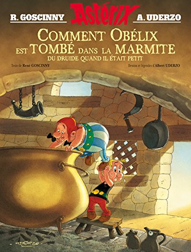 Astérix - Comment Obélix est tombé dans la marmite du druide quand il était petit: Bandes dessinées (Astérix - Les Albums illustrés, 1)