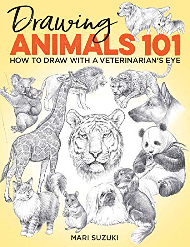 Drawing Animals 101: How to Draw With a Veterinarian's Eye (Get Creative, 6) von Get Creative 6