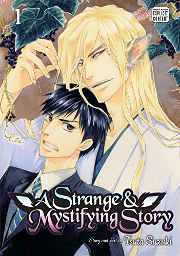 A Strange and Mystifying Story, Vol. 1 (STRANGE & MYSTIFYING STORY GN (VIZ), Band 1)