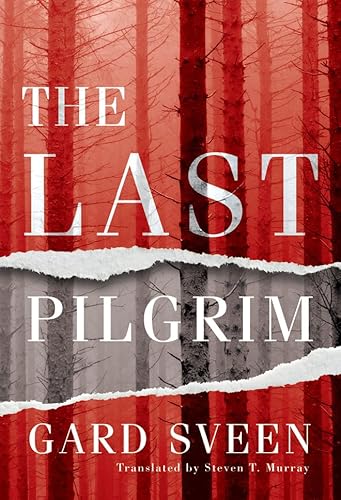The Last Pilgrim (Tommy Bergmann, Band 1)