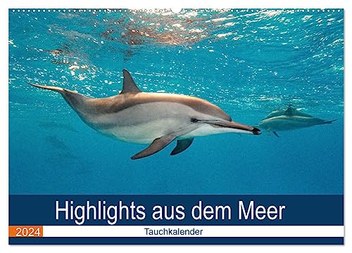 Highlights aus dem Meer - Tauchkalender (Wandkalender 2024 DIN A2 quer), CALVENDO Monatskalender
