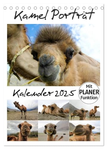Kamel Porträt (Tischkalender 2025 DIN A5 hoch), CALVENDO Monatskalender von CALVENDO