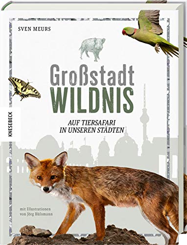 Großstadt Wildnis: Auf Tiersafari in unseren Städten. Fotografien wilder Tiere in den Großstädten Deutschlands. Mit Tipps zur Naturbeobachtung von Knesebeck