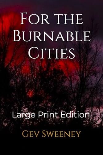 For the Burnable Cities: Large Print Edition von Independently published