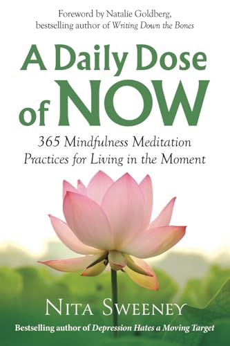 A Daily Dose of Now: 365 Mindfulness Meditation Practices for Living in the Moment von Mind, Mood, & Movement