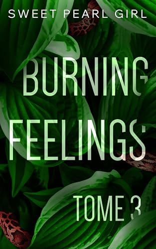 BURNING FEELINGS : TOME 3 von HEA