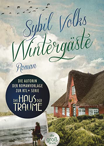 Wintergäste: Roman (Die Familie-Boysen-Reihe, Band 1)
