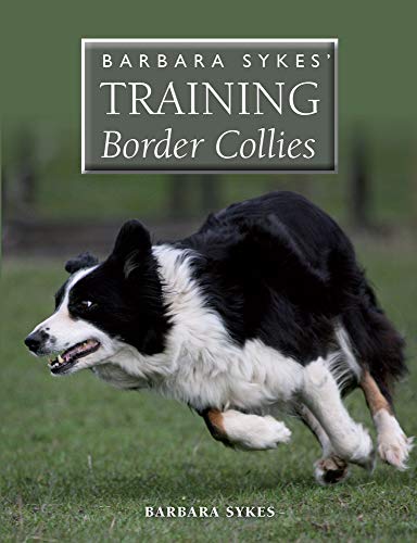 Training Border Collies