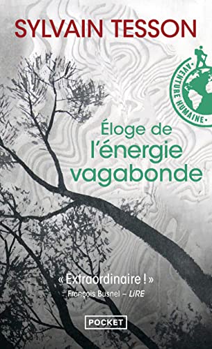 Eloge de l'énergie vagabonde Eloge de l'énergie vagabonde von Pocket