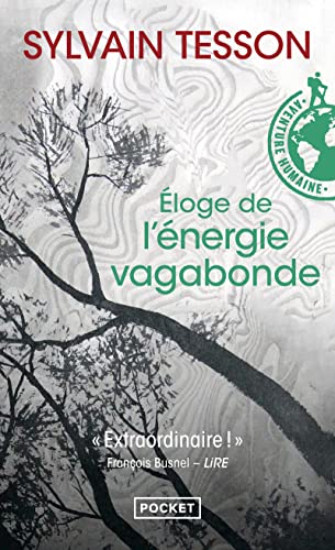 Eloge de l'énergie vagabonde von Pocket