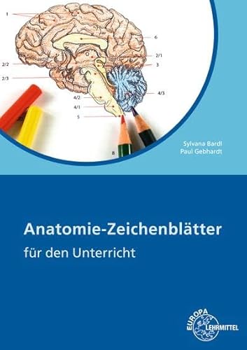 Anatomie Zeichenblätter: für den Unterricht von Europa-Lehrmittel