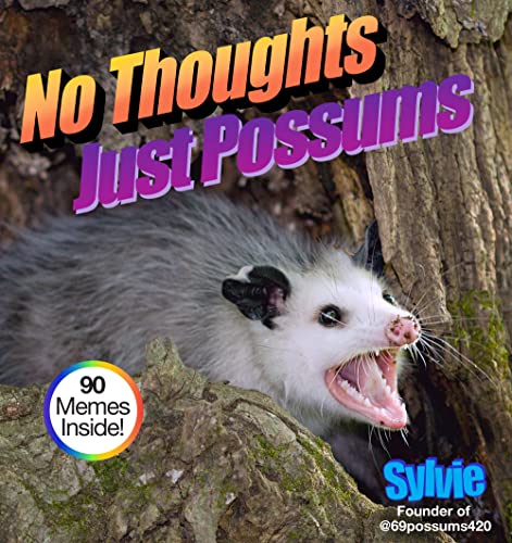 No Thoughts Just Possums von Union Square & Co.